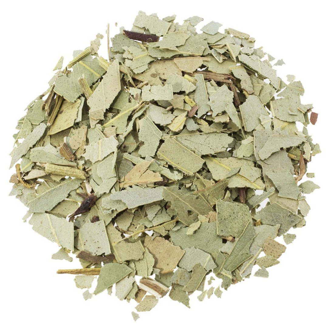 Eucalipto Hoja