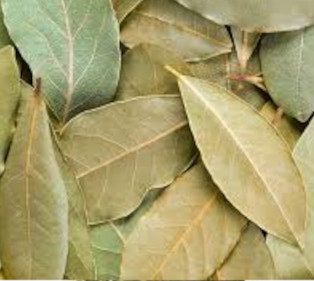 Laurel hoja