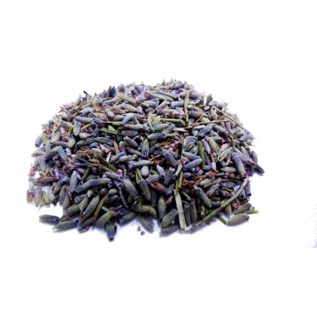 Espliego Flor Lavanda