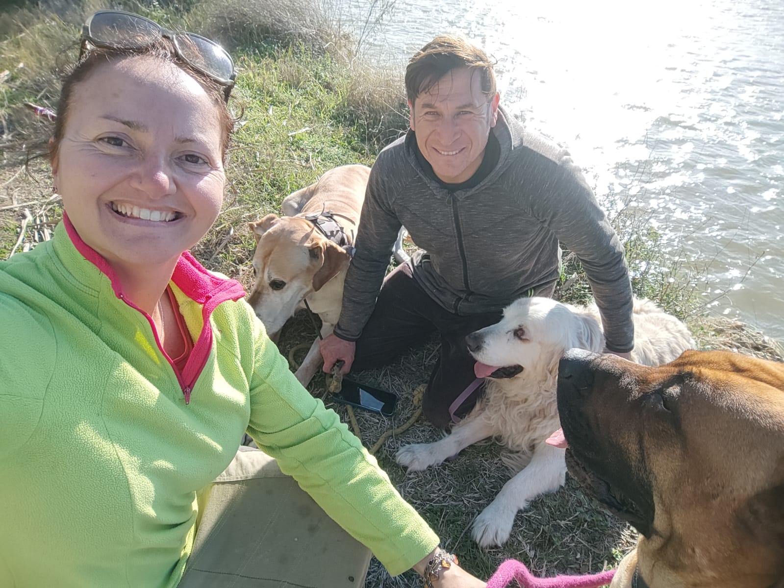 Los tres perros de Lucho y Griselda en el campo